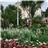 Dawlish Lawn